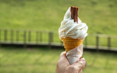 Second Date Ideas You’ll Love